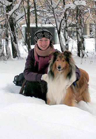 Collie câine pentru începători