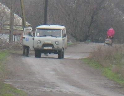 Vaca a fost electrocutată