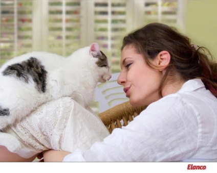 Pisicile trata oamenii ca pisicile tratează oamenii