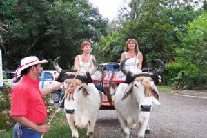 Costa Rica, salut, felul meu de pu