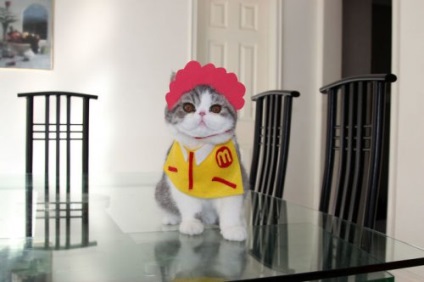 Cat-cosplayerul Snoopy și prietenul său au terminat (26 fotografii)