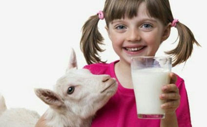 Laptele de capra are proprietăți utile și contraindicații