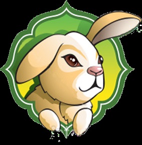 Rabbit - Academia de Feng Shui