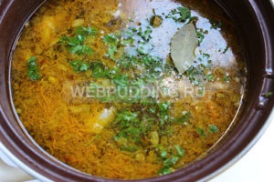 Csirke leves galuskával recept fotókkal, hogyan kell főzni