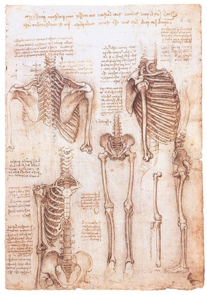 Leonardo da Vinci szeretnék csinálni egy csoda, rejtély és talány történetek