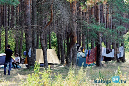 Forest weekend în afara orașului parc 