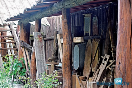 Forest weekend în afara orașului parc 