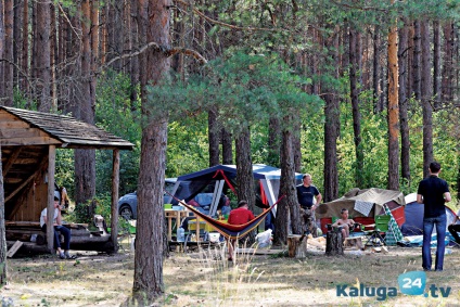 Forest weekend în afara orașului parc 