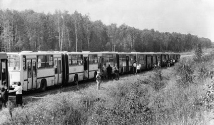 Nyár a nyári tábor (91 fotó) (nyáron) Nyár a nyári tábor (91 fotó)