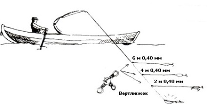 Pescuit pe pistă, un blog pentru începători, pescari de succes!