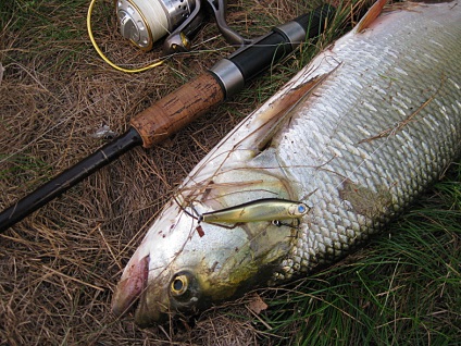 Pescuit în rezervorul Cheboksary, pescuit