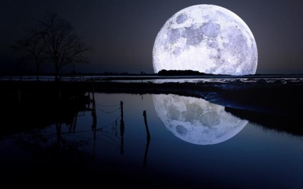 Luna într-un crin de apă, la influența unui om, o lună neagră într-un crin pentru un bărbat
