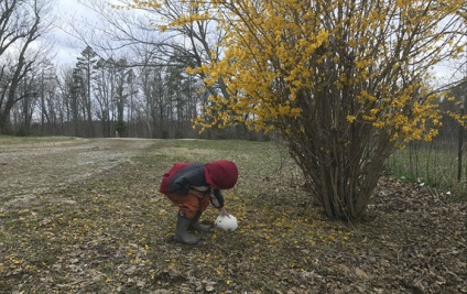 Amator împotriva fotografului ca unul și același loc este transformat în lucrări profesionale - știri în