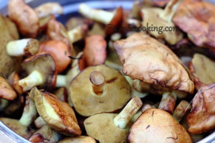 Marinate ciuperci în stil polonez, picantecooking