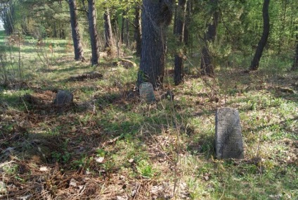 Este posibilă colectarea de ciuperci într-un cimitir