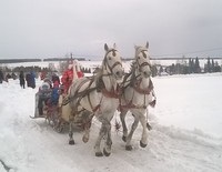 Múzeum-Reserve - Ludorvay - utazás, a munkaidő és a költségek, a szabadság (óra) Múzeum-Reserve - Ludorvay - utazás, a munkaidő és a költségek, a szabadság