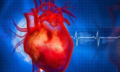 Stimularea magnetică directă a creierului ajută 84% dintre pacienții afectați de accident vascular cerebral