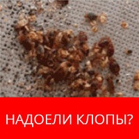 Folosit remedii pentru bug-uri în apartament cum să se ocupe de insecte cu metode simple