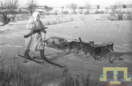 Nazim Nafeev és a kutya, mint a krími tatár mentette meg a sebesült során a második világháború, ana jurta