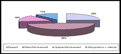 Stilul de viață al unui locuitor din mediul rural, publicație în jurnalul 