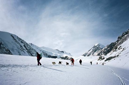 Despre pregătirea avalanșelor câinilor
