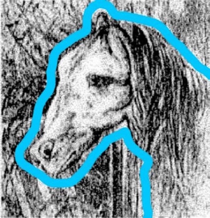 Iluzie optică - cine va vedea un cal pe ea