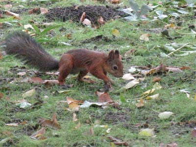 Vélemények a Tsaritsyno park - nyaralás gyerekekkel