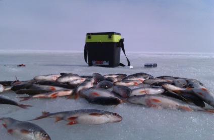 Pescuitul de pe malul lacului Ladoga - pescuitul în Rusia și în întreaga lume