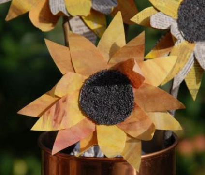 Floarea-soarelui pentru cabane - jurnale de carte de dacha