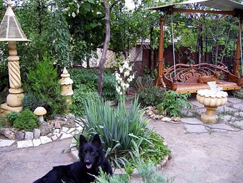 Articole utile dacă aveți un câine - un portal de flori este grădina dvs.!