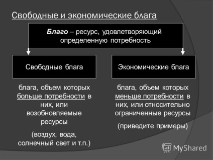 Prezentarea conceptului de economie