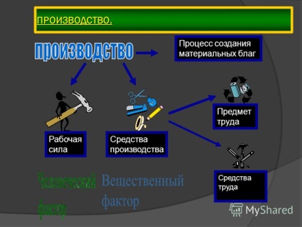 Prezentarea conceptului de economie