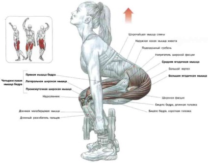 Squatting fără greutate este bun - cum să pompez acasă și în sală