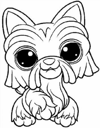 Színező - pet shop - letöltésére és kinyomtatására ingyen