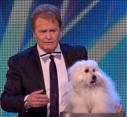 Secretul unui câine vorbitor care a explodat spectacolul - Marea Britanie caută talente, umkra
