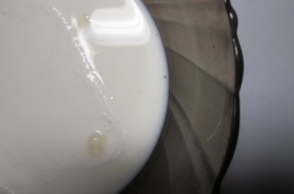 Dietă lapte pantaloni cotta pas-cu-pas rețetă cu fotografii