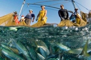 Pescuitul de afaceri de la zero deveni un om de afaceri de succes și să ia nisa ta de pescuit!