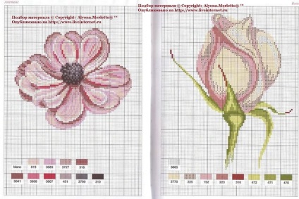 Rose - regina de flori m pentru cusături încrucișate