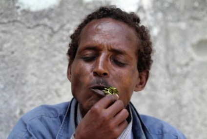 Ru kat - floare de paradis - din Somalia