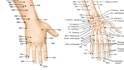 Secretele medicinei chinezești!