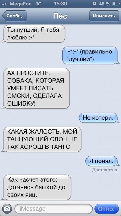 SMS levelezés a mester és a kutyája (tulajdonos) SMS levelezés a mester és a kutyája