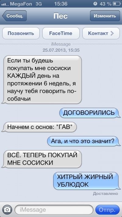 SMS кореспонденция на капитана и кучето му