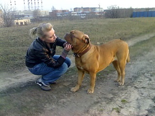 Canine árvíz és miért (miért) van egy kutya