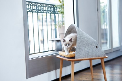 Gogoși elegant pentru pisici