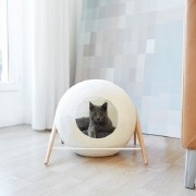 Gogoși elegant pentru pisici