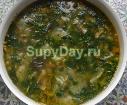 Supa de ciuperci din veselok - aromă de rețetă de vară cu fotografie și video