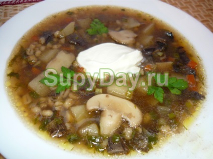 Supa de ciuperci din veselok - aromă de rețetă de vară cu fotografie și video