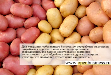 Activitatea de prelucrare și conservare a cartofilor