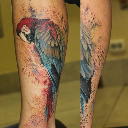 Tattoo érték papagáj tetoválás, 19 fényképek, vázlatok