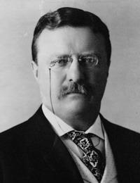 Theodore Roosevelt (félgömb elkötelezettség csatlakoztatott állapotban Orvos